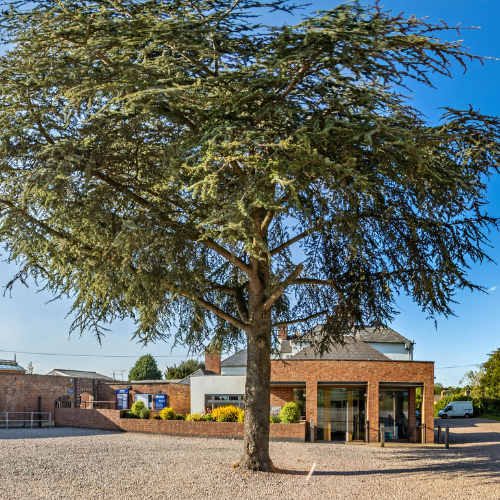 King's Hawford